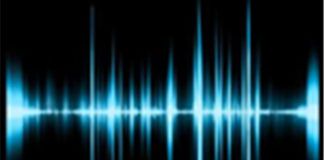 Identification vocale en criminalistique